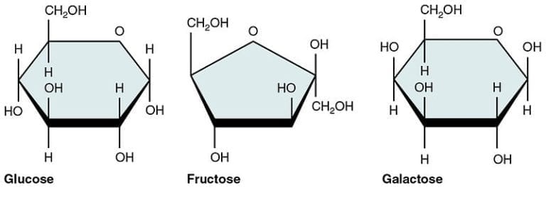 Too High on High Fructose Corn Syrup? - Pacific College